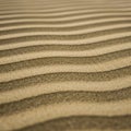 Fine sand dunes display alternating light and dark wavy patterns Royalty Free Stock Photo