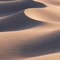 The fine sand grains create a delicate, intricate pattern across the landscape Royalty Free Stock Photo