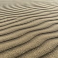 Fine sand ripples form a mesmerizing pattern across a desert landscape, likely create Royalty Free Stock Photo