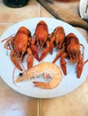 Fine selection of crustacean for dinner. Lobster, crab and jumbo shrimp on dark background Royalty Free Stock Photo