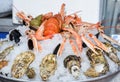 Fine selection of crustacean for dinner. Lobster, crab and jumbo shrimps and oysters Royalty Free Stock Photo