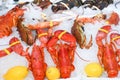 Fine selection of crustacean for dinner. Lobster, crab and jumbo shrimps and oysters Royalty Free Stock Photo