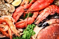 Fine selection of crustacean for dinner. Lobster, crab and jumbo Royalty Free Stock Photo