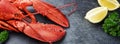 Fine selection of crustacean for dinner. Steamed lobster with le Royalty Free Stock Photo