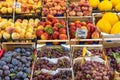 Fine selection of fresh fruits at a market