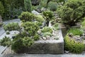 Part of a rock garden Royalty Free Stock Photo