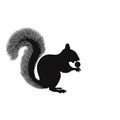 Fine Squirrel silhouette with nut Royalty Free Stock Photo