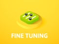 Fine tuning isometric icon, isolated on color background