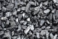 Fine wet anthracite coal lies in bulk.