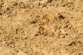 Fine yellow sand for the beach and children`s sandboxes