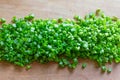 Finely chopped green onions in the middle of an old wooden cutting board Royalty Free Stock Photo