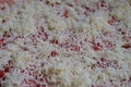finely grated cheese close-up in a bowl Royalty Free Stock Photo