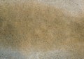 Finely structured beige surface with small tufts of sand