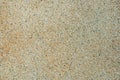 Finely structured sand-colored surface with black dots