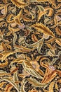 Finely woven silk carpet