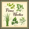 Fines Herbes, Traditional French Herb Blend Royalty Free Stock Photo