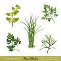 Fines Herbes, Herb Blend Royalty Free Stock Photo