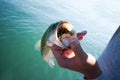 finesse fishing Royalty Free Stock Photo