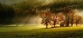 Finest autumn lansdcape of Bavarian nature with several trees and magestic light and fog. Scenic panoramic view of field, forest Royalty Free Stock Photo