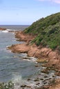 Fingal Bay Headland in portrait