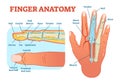 Finger anatomy medical vector illustration with bones, muscle scheme and finger cross section. Royalty Free Stock Photo