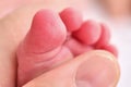 Finger on the hand of an adult and toes on the foot of a newborn baby, macro photo Royalty Free Stock Photo