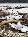 Shards of wave made ice line the Fingerlakes shoreline Royalty Free Stock Photo