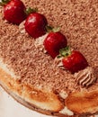 Finger-licking homemade gourmet-style tiramisu cake