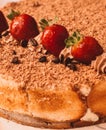 Finger-licking homemade gourmet-style tiramisu cake