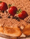 Finger-licking homemade gourmet-style tiramisu cake