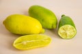 Finger limes on white background