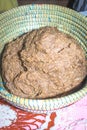 Finger millet Eleusine coracana being crushed into flour for porridge, Uganda