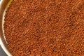 Finger millet spread in the steel plate. It is also known as nachani, ragi which consumed in all over India. It is very nutritive