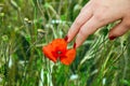 Finger with red fingernail touching Royalty Free Stock Photo