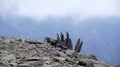 Finger rocks on Glyder Fawr in Snowdonia Royalty Free Stock Photo