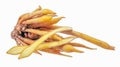 Finger Root or Chinese Ginger isolated on white background Royalty Free Stock Photo