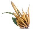 Finger Root or Chinese Ginger isoled on white background Royalty Free Stock Photo