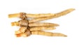 Finger root or Chinese`s Ginger isolated on the white background Royalty Free Stock Photo