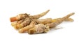 Finger root or Chinese`s Ginger isolated on the white background Royalty Free Stock Photo
