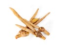 Finger root or Chinese`s Ginger isolated on the white background Royalty Free Stock Photo