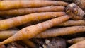 Finger root; Krachai Boesenbergia rotunda in the basket; thai herb