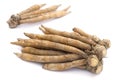 Finger root; Krachai Boesenbergia rotunda on white background