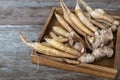 Finger roots on an old wooden background. Royalty Free Stock Photo