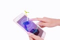 Finger touch on digital tablet seedling care and network on the holographic interface screen. business technology Modern virtual r Royalty Free Stock Photo