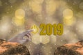 Finger Touch the start button to Starting 2019 Brightness Theme of Gold,happy new year with sparkling golden light bokeh and Royalty Free Stock Photo