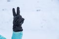 Finger in winter glove gesture number two or peace sign Royalty Free Stock Photo