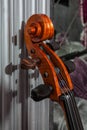 Fingerboard of cello in grey baroque interior