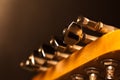 Fingerboard guitar closeup Royalty Free Stock Photo