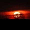 FingerLakes sunset is illuminated by orange sky and yellow sun