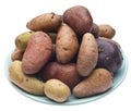 Fingerling Artisan Potatoes Royalty Free Stock Photo